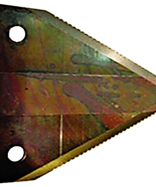 BLADE-171.jpg