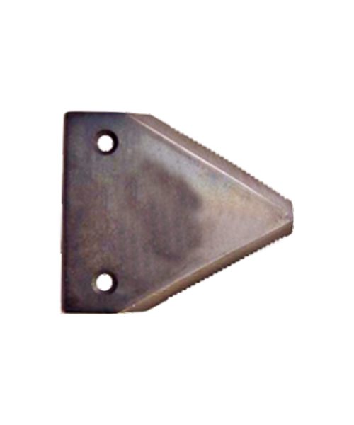 Website-60.jpg